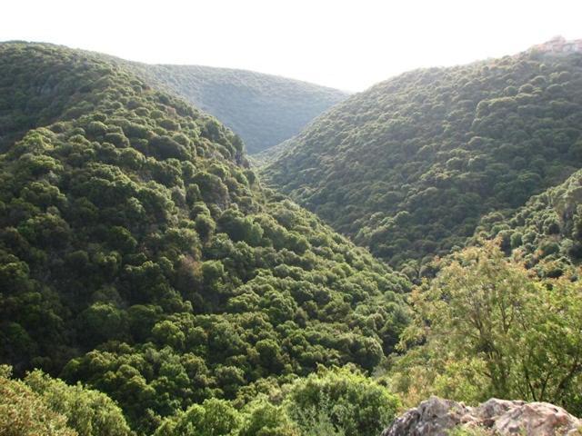 היחידה - Hayehida Daire Maalot Tarshiha Dış mekan fotoğraf