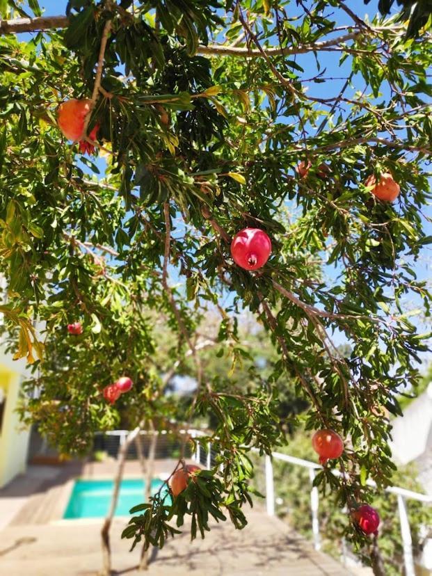 היחידה - Hayehida Daire Maalot Tarshiha Dış mekan fotoğraf