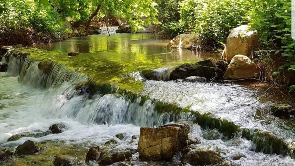 היחידה - Hayehida Daire Maalot Tarshiha Dış mekan fotoğraf